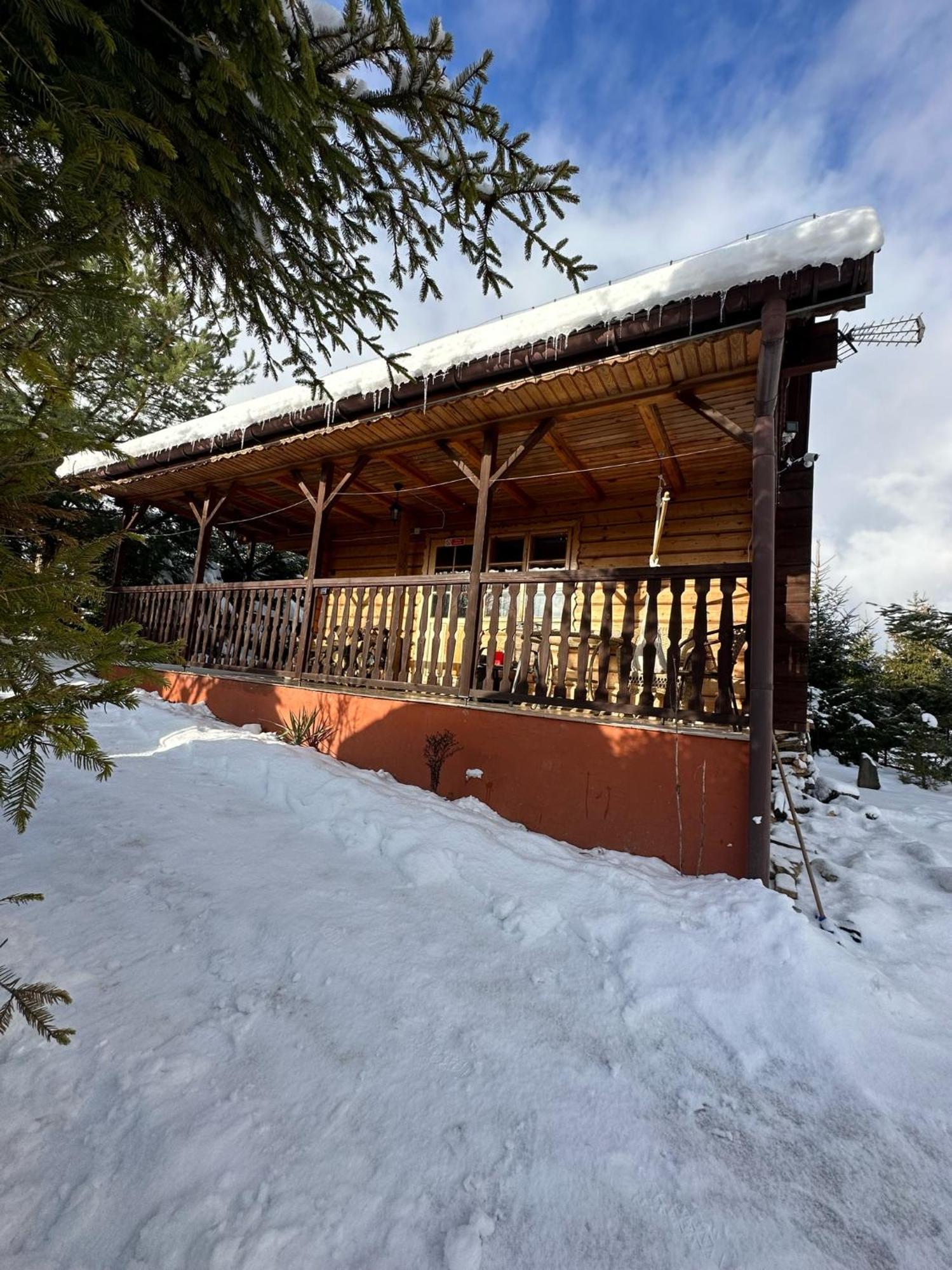 Urocza Chata Z Sauna W Bieszczadzkim Parku Krajobrazowym 布科维茨 外观 照片